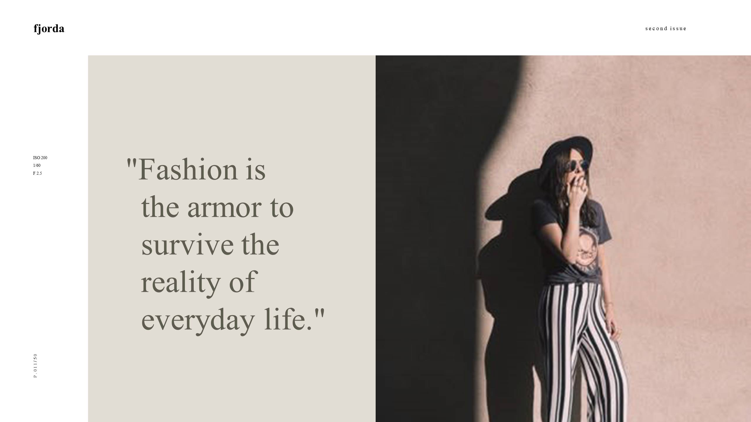 时尚风格 (5).pptx